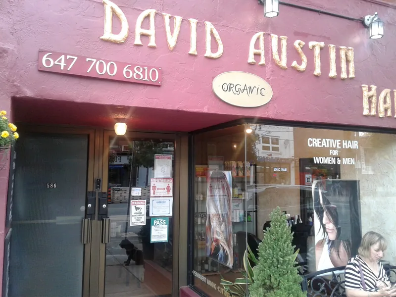 David Austin Hair, hair salon at 586 Mount Pleasant Road in Old Toronto, Toronto